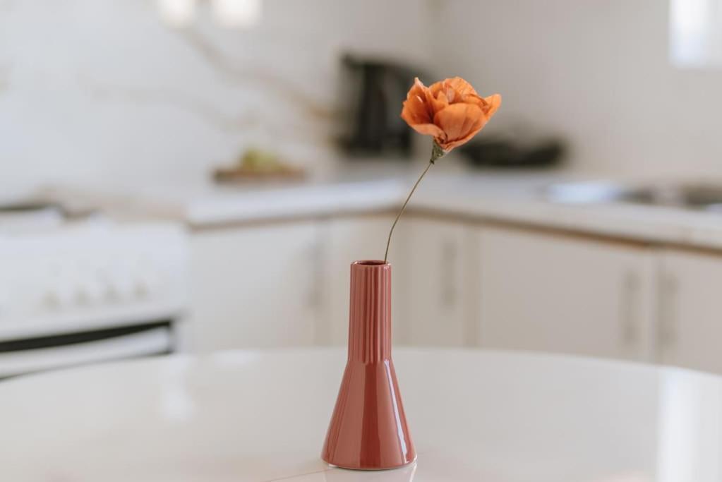 Sunny Apartment For Couples & Friends In Centre イラクリオン エクステリア 写真